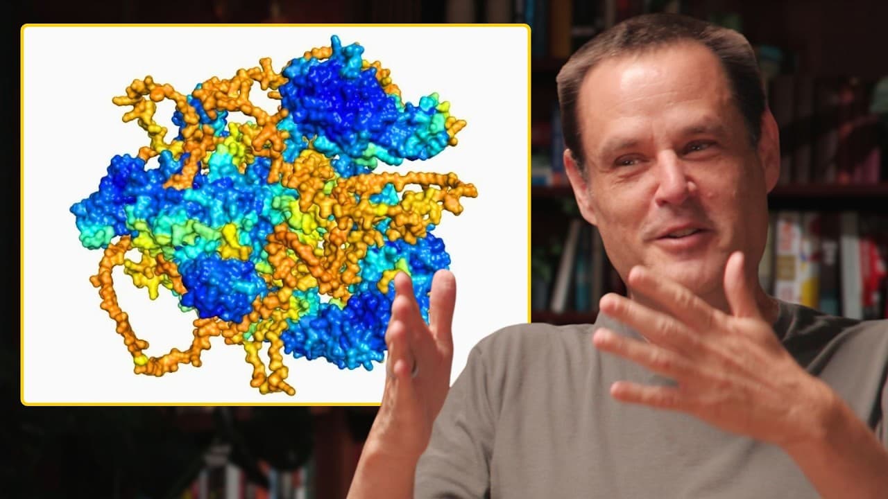 AlphaFold Isn't Really About AI – Michael Nielsen